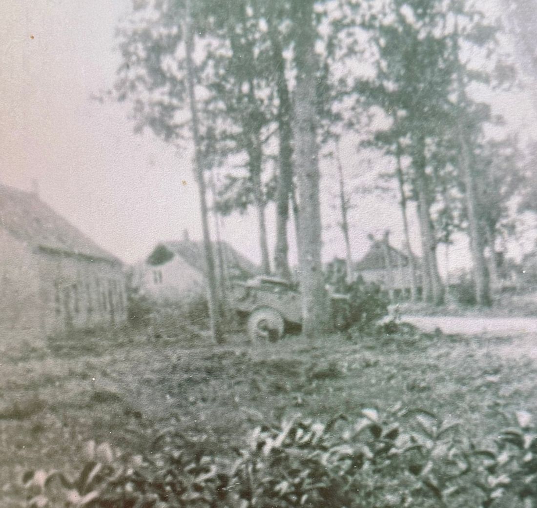 Trees and a farm building at the edge of a field